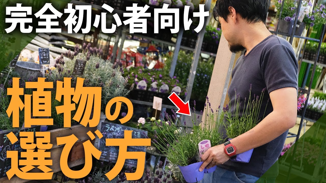 植栽悩んでませんか？ A must-see for garden lovers] No more worries! A gardener's