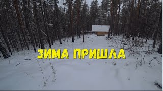 ПРОВЕРКА ПУТИКОВ//ДОШИРАК СПАС ОТ СМЕРТИ