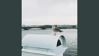 Jasmine Your Farts Are Criminal Jasmine Poop