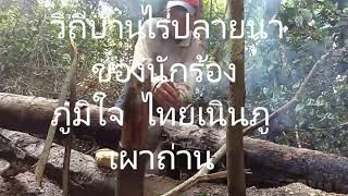 วิถีนักร้องคนบ้านไร่ปลายนา ภูมิใจ ไทยเนินภู