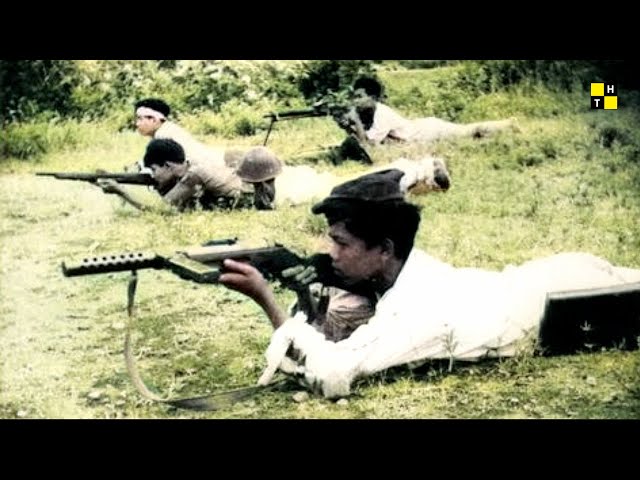 Video Asli | (1961) OPERASI TNI TUMPAS DARUL ISLAM/TENTARA ISLAM INDONESIA di Sulawesi Selatan class=