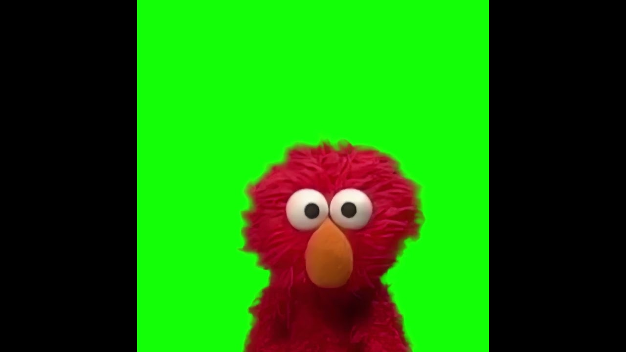 Elmo Stares at the Camera meme - Green Screen - YouTube