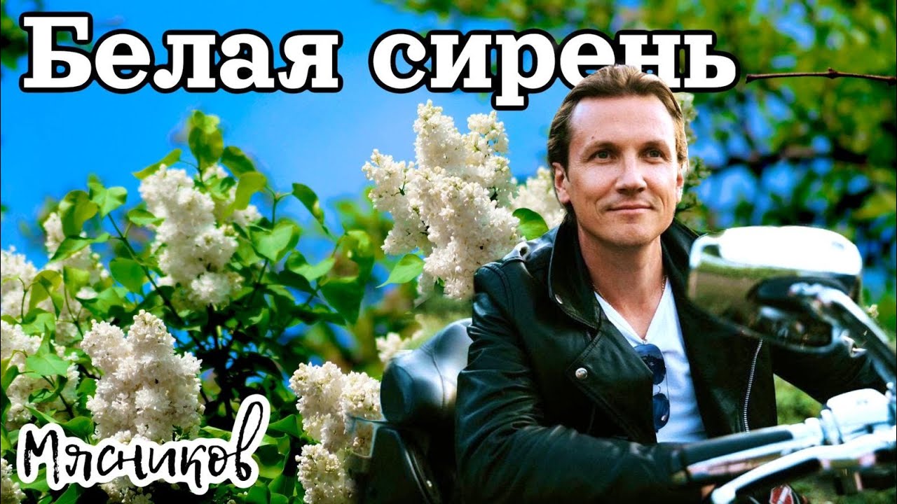 Душевная песня, белая сирень