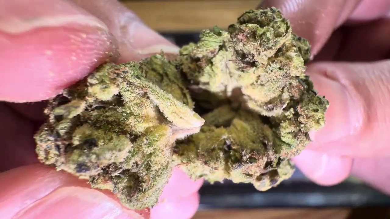 TSME - Gush Mintz  THCA Flower Tier 3 