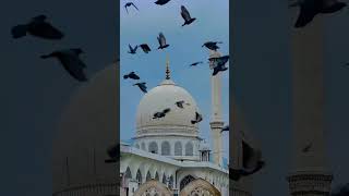 Allah Ka Farman Ringtone 🎵 Islamic ringtone #islamic #trending #ringtone #shorts #viral
