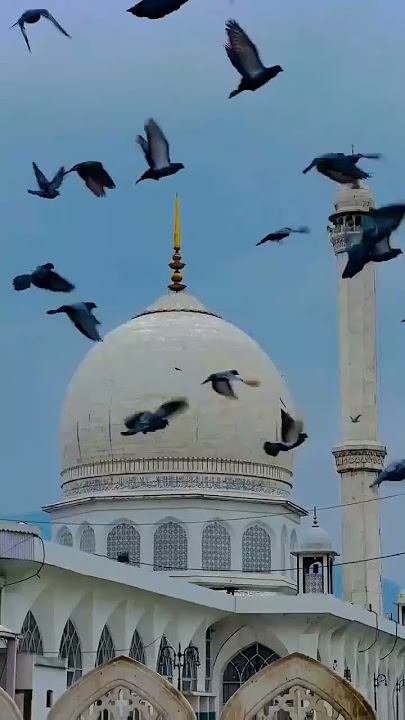 Allah Ka Farman Ringtone 🎵 Islamic ringtone #islamic #trending #ringtone #shorts #viral