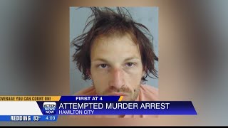 Attempted murder arrest near Hamilton City