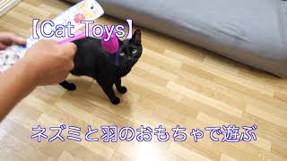 【Cat Toys】猫のおもちゃ：ネズミと羽のおもちゃで遊ぶ