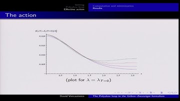David Vercauteren--The Polyakov Loop in the Gribov Zwanziger Formalism(Day 4)