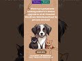 AI WordPress Websites for Pet Care Services