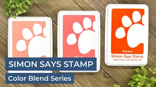 Simon Says Stamp Pawsitively Saturated Ink Color Blend Series