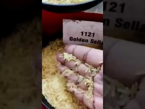 انواع ارز بسمتي ١١٢١