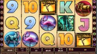 「SAFARI HEAT」casino slot bonus win