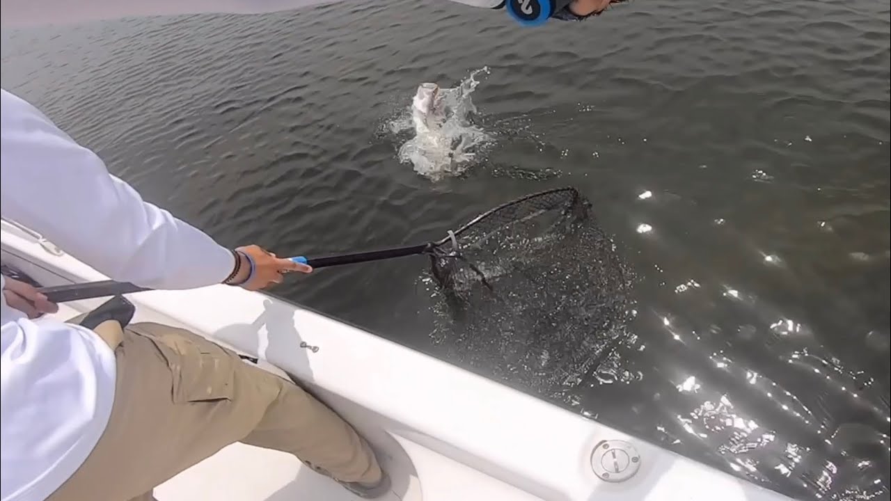 Giant Speckled Trout Lots of White Trout and a Couple of Red Heads (Fishing Mississippi Cat Island)