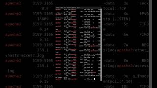 Cómo Localizar Accesos a Ficheros en Linux con el Comando lsof