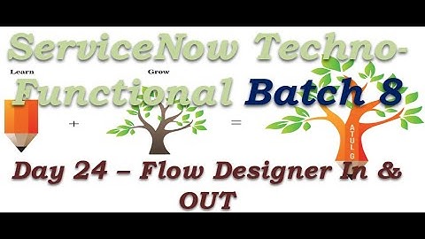 Batch 8 | Day 24 | Flow Introduction - Configuration | Techno Functional Training | San Diego