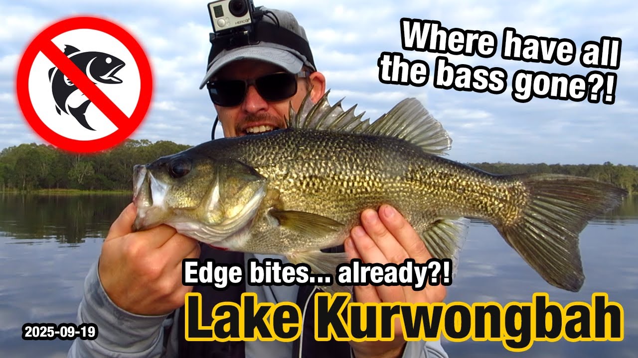 Where have all the bass gone… Edge bites already?! Bass fishing at Lake Kurwongbah