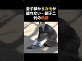 愛子様から鴨が離れない・・!?親子二代の軌跡!! #愛子さま #皇室 #鴨場接待 #雅子さま