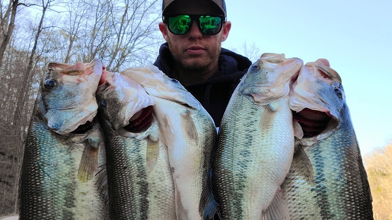 Green Fish extremely deep on Dale Hollow.