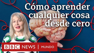 8 técnicas científicas para aprender algo nuevo o prepararse para un examen | BBC Mundo