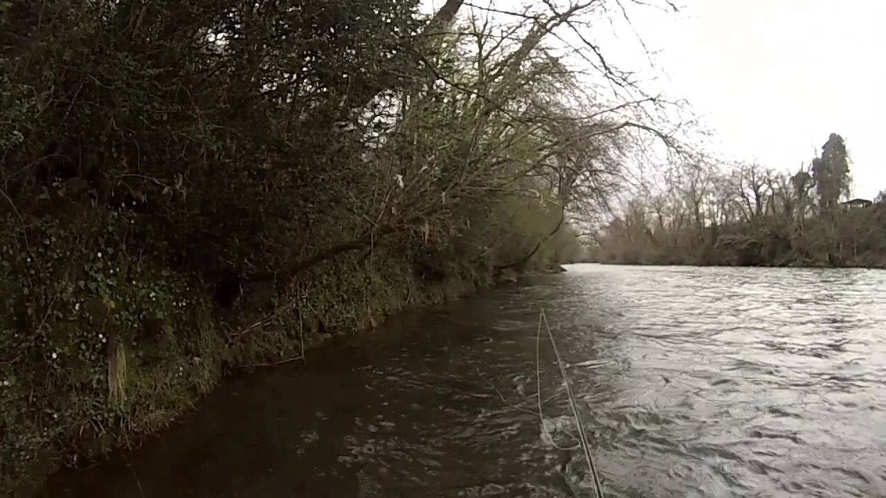 Blueneck Trout Media 2013 Season video Fly Fishing Europe YouTube