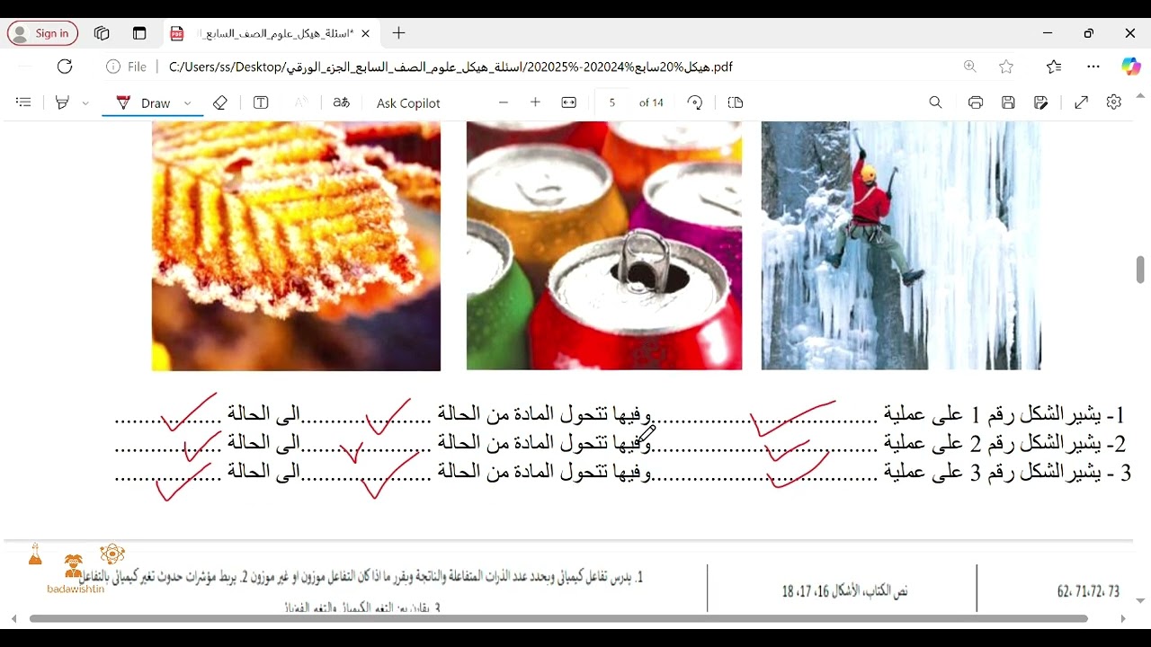 مراجعة هيكل مادة العلوم (الجزء الورقي) القسم الوزاري للصف السابع الفصل الدراسي الأول 2024 - 2025