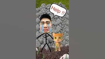 Giải Cứu Mèo Con Ở Ấn Độ