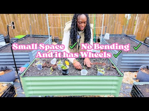 👀Watch Me Pack Vego Garden Elevated Raised Bed with Plants 🥬 Gardening Without the Struggle 😌