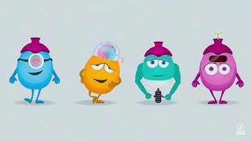 The Zorbs - UNODC’s Education for Justice