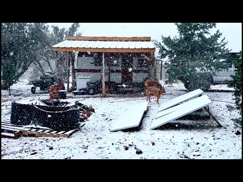 LIVE - Midday Blizzard Slams Into Northern Arizona