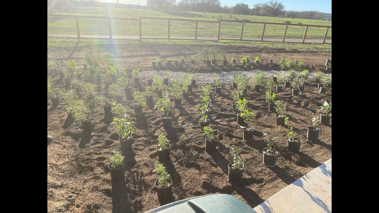 Customizing Ecological Solutions