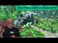 Aquarium Plant Care in Winter | Preserve and Reuse Aquarium Plants