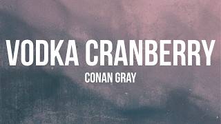 Conan Gray - Vodka Cranberry (Lyrics)