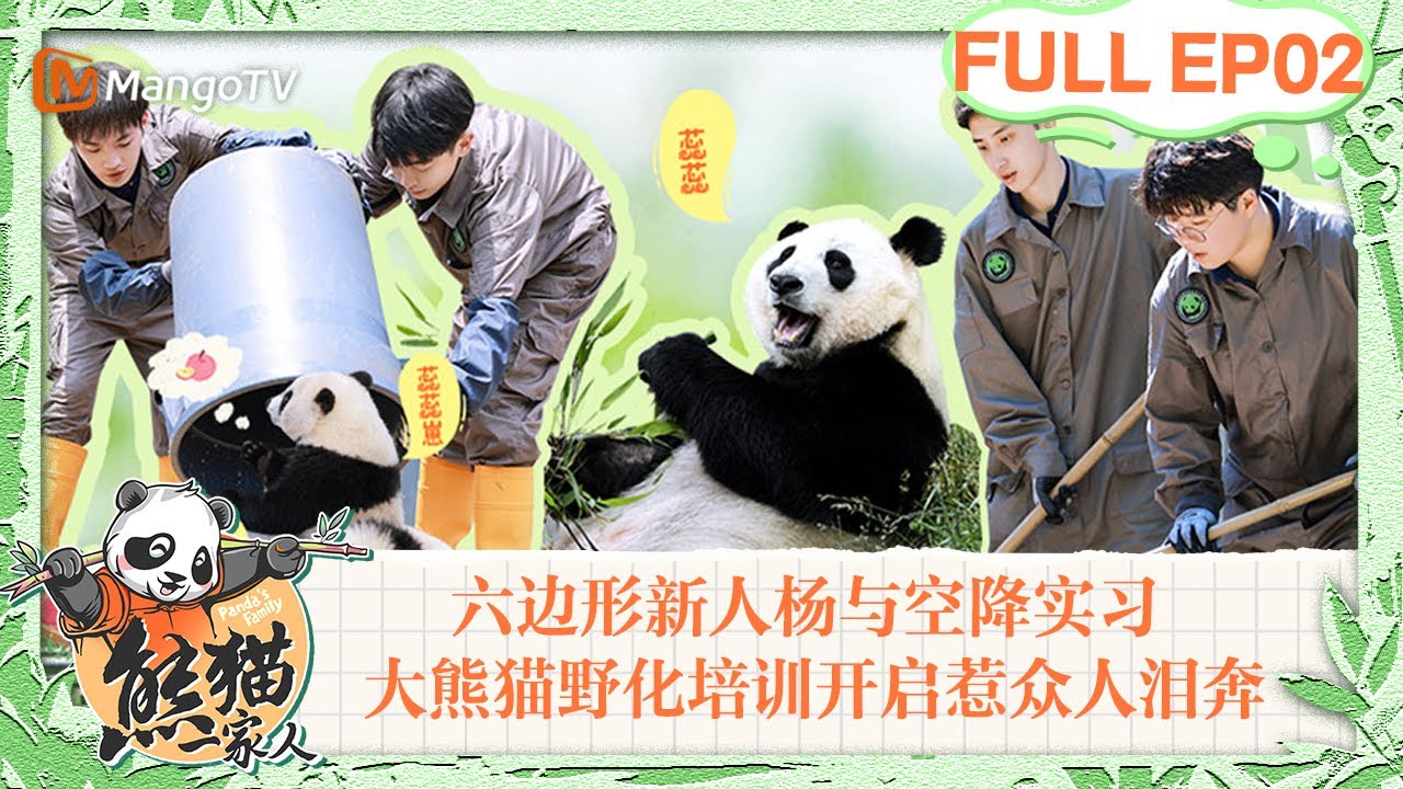 MULTI SUB｜人教版vs妈教版熊猫宝宝的区别？ 🐼 熊猫野化培训开启惹众人泪奔｜《熊猫一家人Panda‘s Family》｜EP02｜MangoTV