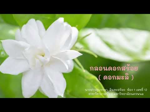 กลอนดอกสร้อย ดอกมะลิ เสนอ อาจารย์ ฐนพรรณ ธูปหอม