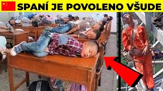 TOP 5 Neobvyklé Věci, Které Jsou V Číně Normální