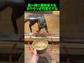 エサを一生懸命取ろうとするかわいすぎるカワウソ