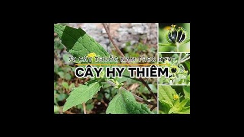 CÂY HY THIÊM #yhoccotruyen #caythuocnam