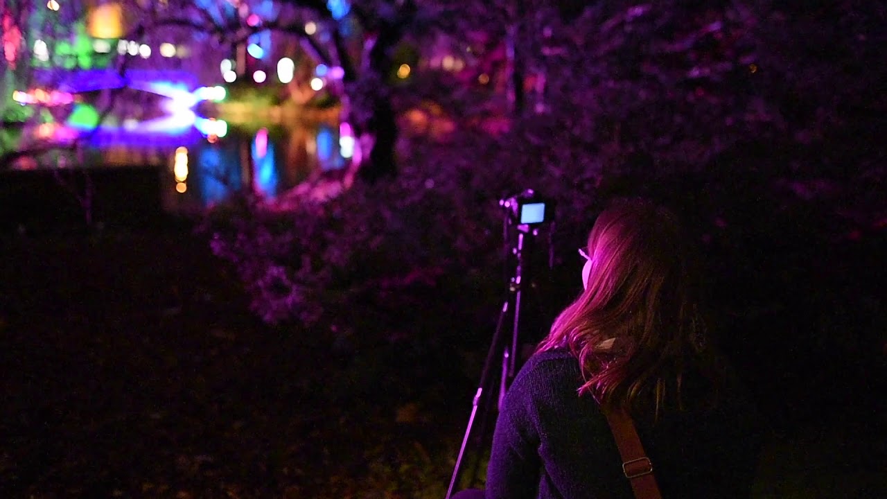 Winterlichter Palmengarten 01 2019 Lightroom Protokoll