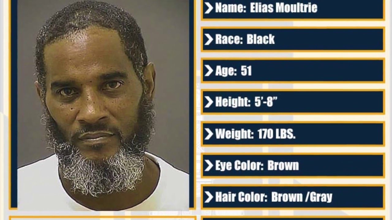 Wanted Wednesday 02/24/2016