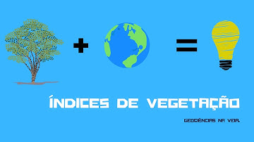 Índices de vegetação