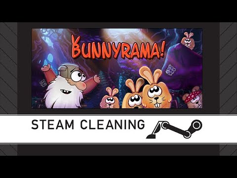 Steam Cleaning - Bunnyrama