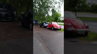 stebu's MMG 2020 June bugs
