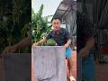 Em Gái Có Ước Mơ Biến Thành Đứa R.anh Con 2 Tuổi Và Cái Kết #shortvideo