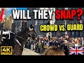 King's Guard Horse vs. Huge London Crowd: What Happens Next?