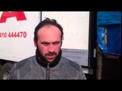 \"ახალგაზრდა რეპორტიორი\" – \"სპაიკ ჯორჯია\" ნატანებში ციტრუსის  შეძენას  ახორციელებს