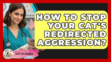 How To Stop Your Cat