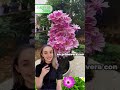 Haz que tu cactus florezca con estos sencillos consejos