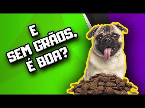 Vídeo: Grãos Na Comida De Cachorro - Alimentos Sem Grãos Para Cães