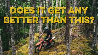 My New Favourite Trail?